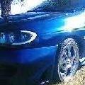 meganezebrus40