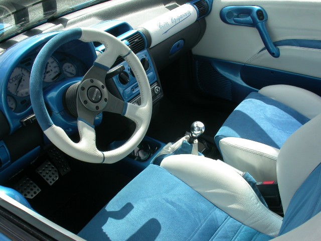 opel (28).jpg