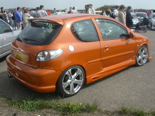 peugeot (100).jpg