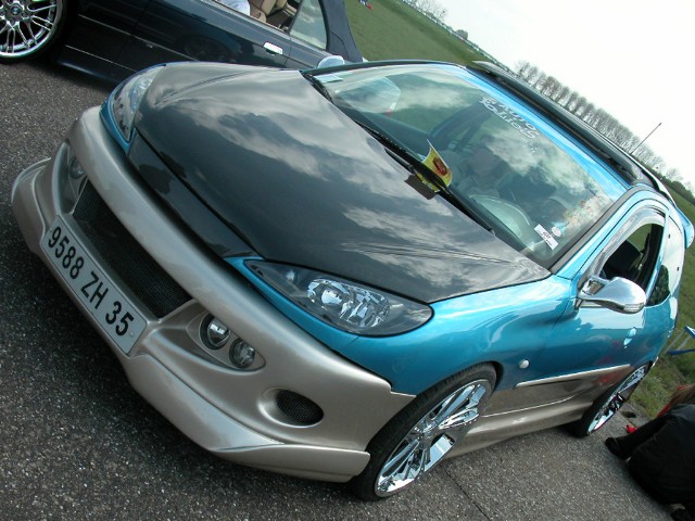 peugeot (141).jpg