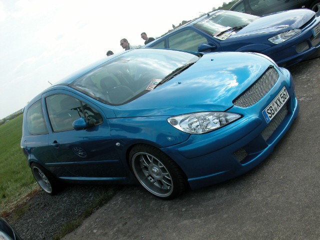 peugeot (152).jpg