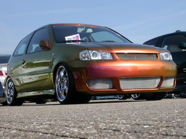 vag (19).jpg