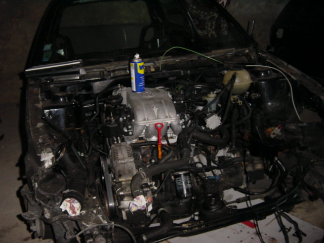 modif_golf_034.jpg