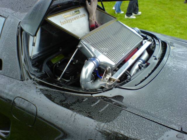 DSC00205.JPG