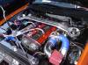 DSC00090.jpg