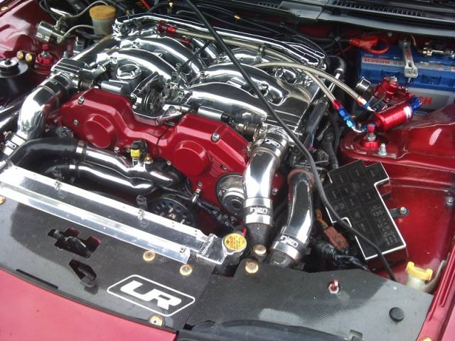 DSC_1530.jpg
