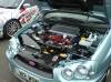 DSC00673.jpg