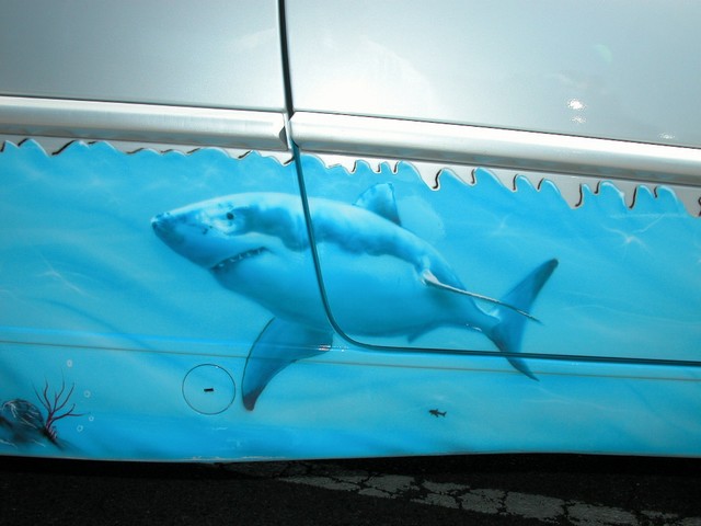 DSCN0106.JPG