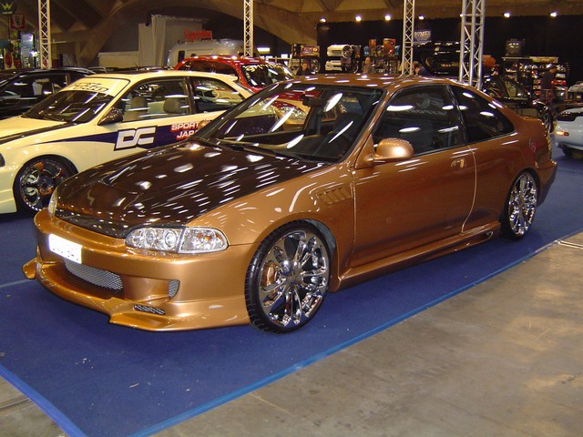 DSC00055.JPG