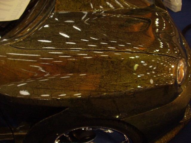 P1010108.JPG