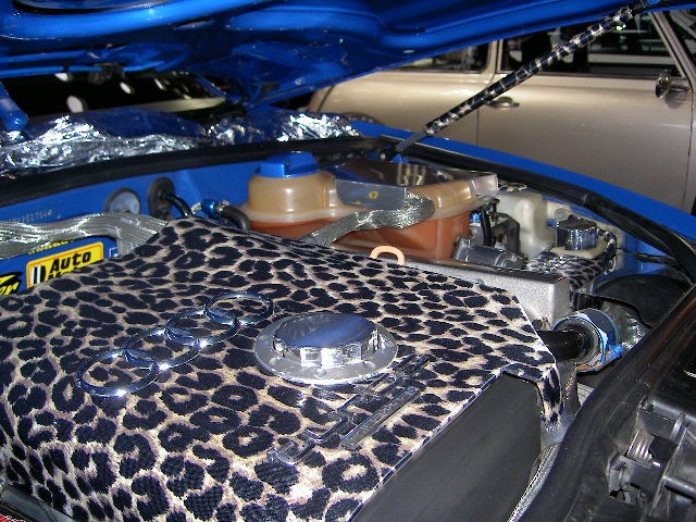 PICT3180.JPG