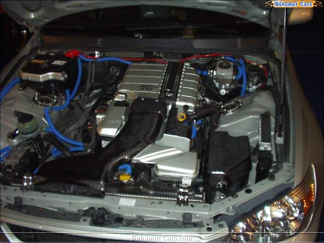 P1010076.JPG