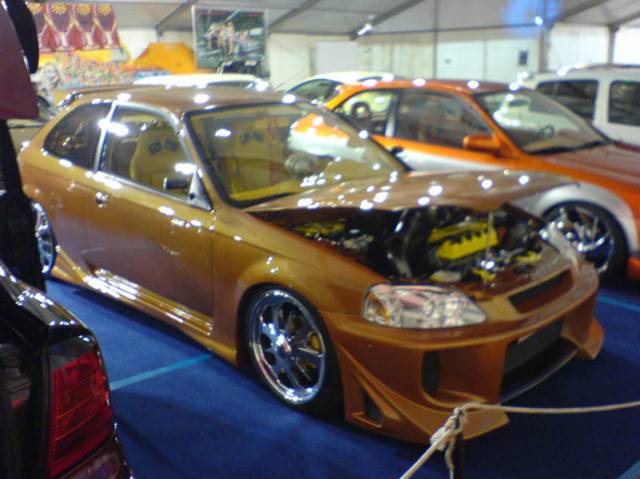 DSC00954.jpg