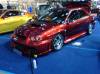 DSC00772.jpg