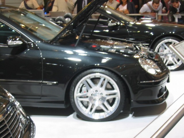 gfx_235.jpg