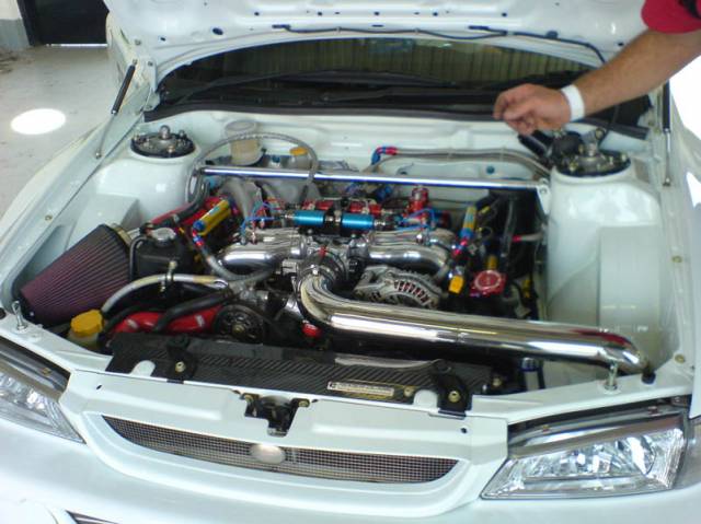 DSC00558.jpg