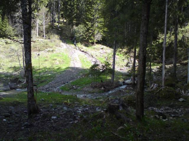 DSC00339
