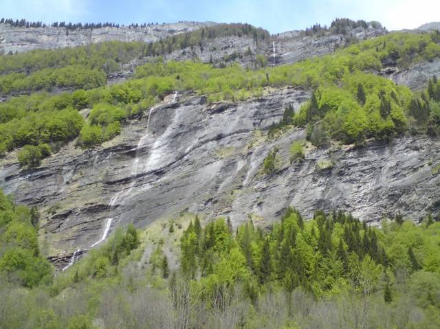 DSC00355
