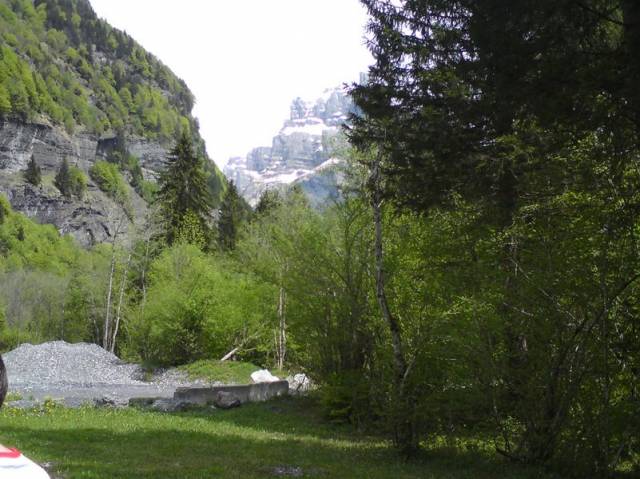 DSC00356
