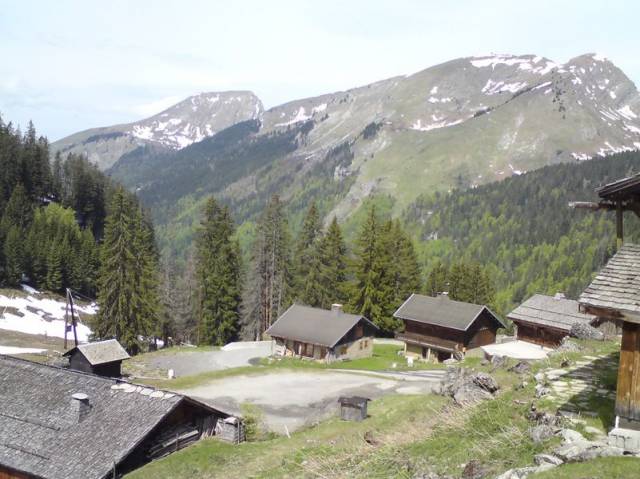 DSC00359
