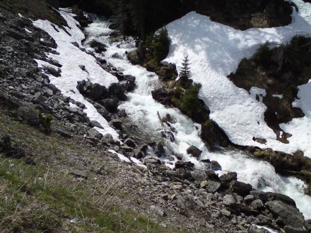 DSC00360
