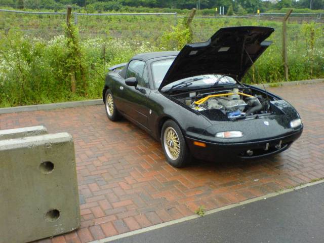 DSC00010.JPG