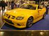 essen_motor_show_2006_071.jpg