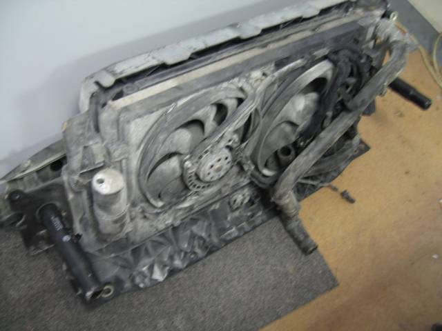 IMG 1856
