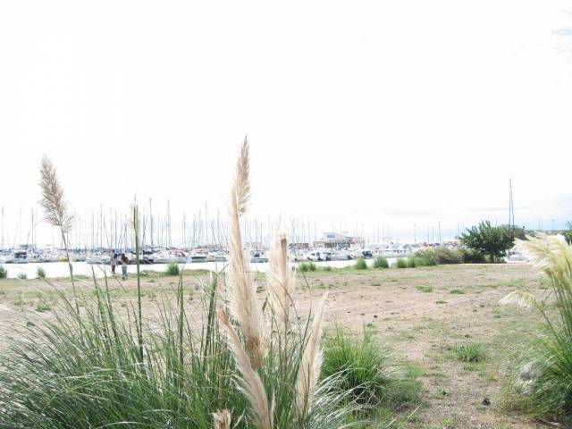 IMG_0527.JPG