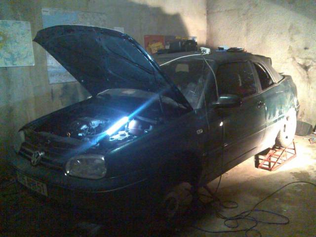 dsvf_(1).jpg