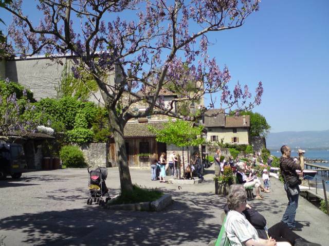DSC00851.jpg