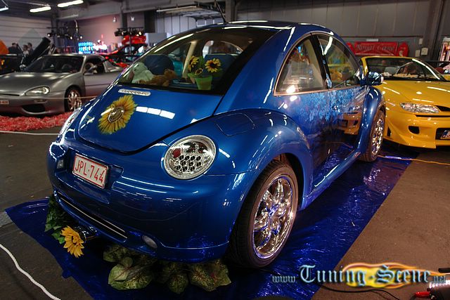 Mots-clés: airbrush beetle Didier 3d custom painting aÃ©rographe special painting