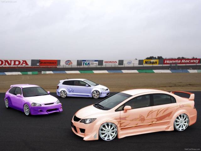 civic type R tuning
