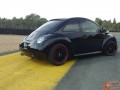 Beetle 4