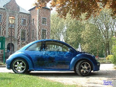 Beetle