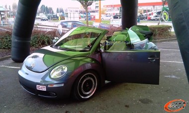 Beetle