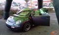 Beetle