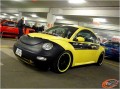 Beetle