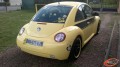 Beetle 4