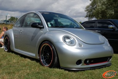 Beetle